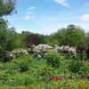Photo 17: Peckham Rye