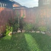 Photo 4: garden