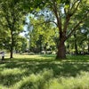 Photo 10: Finsbury park 12 min walk