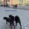Photo 9: European adventures