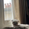 Photo 8: Fern 