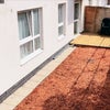 Photo 6: Garden