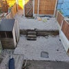 Photo 5: Back garden