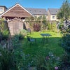 Photo 7: Garden