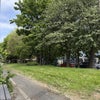 Photo 9: Private Community Garden (Rear)