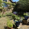 Photo 9: Garden