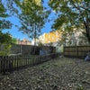 Photo 7: Garden 