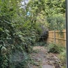 Photo 6: Back Garden
