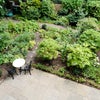 Photo 3: Garden (and view from bedroom)
