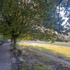 Photo 9: Wandsworth Common - just one block away!