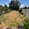 Photo 7: Garden