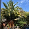 Photo 7: Garden