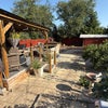 Photo 3: Garden 