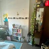 Photo 3: Bedroom