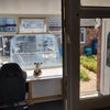 Photo 4: Had to use a stand In, he Buggered Off.....