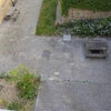 Photo 6: Communal courtyard 