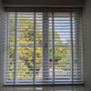 Photo 8: Bedroom Window