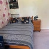 Photo 1: Double bed.