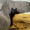 Camilla\'s picture