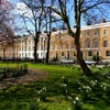 Photo 9: Tredegar Square