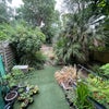 Photo 7: Garden