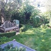 Photo 5: Communal Gardens