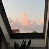 Photo 4: Bedroom Window