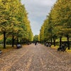 Photo 11: Regent"s Park