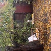 Photo 8: Garden