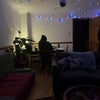 Photo 7: Living room (Sofa)