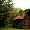 Photo 12: Garden Shed
