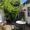 Photo 8: back patio