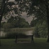 Photograph of Ash 
