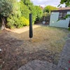 Photo 8: Garden