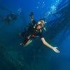 Photo 3: Interests: Diving, Freediving