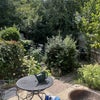 Photo 9: Garden 
