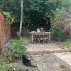 Photo 6: Garden