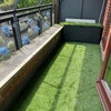 Photo 8: Balcony