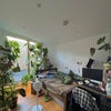 Photo 3: room 