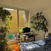 Photo 9: room