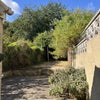 Photo 7: Garden