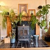 Photo 7: Sitting room  fire