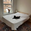 Photo 2: Bedroom