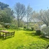 Photo 6: Private garden