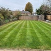 Photo 5: Back Garden