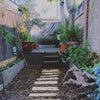 Photo 6: Garden