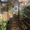 Photo 7: Garden