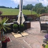 Photo 8: Back Garden