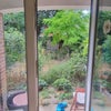 Photo 2: Garden