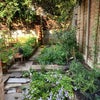 Photo 4: Garden